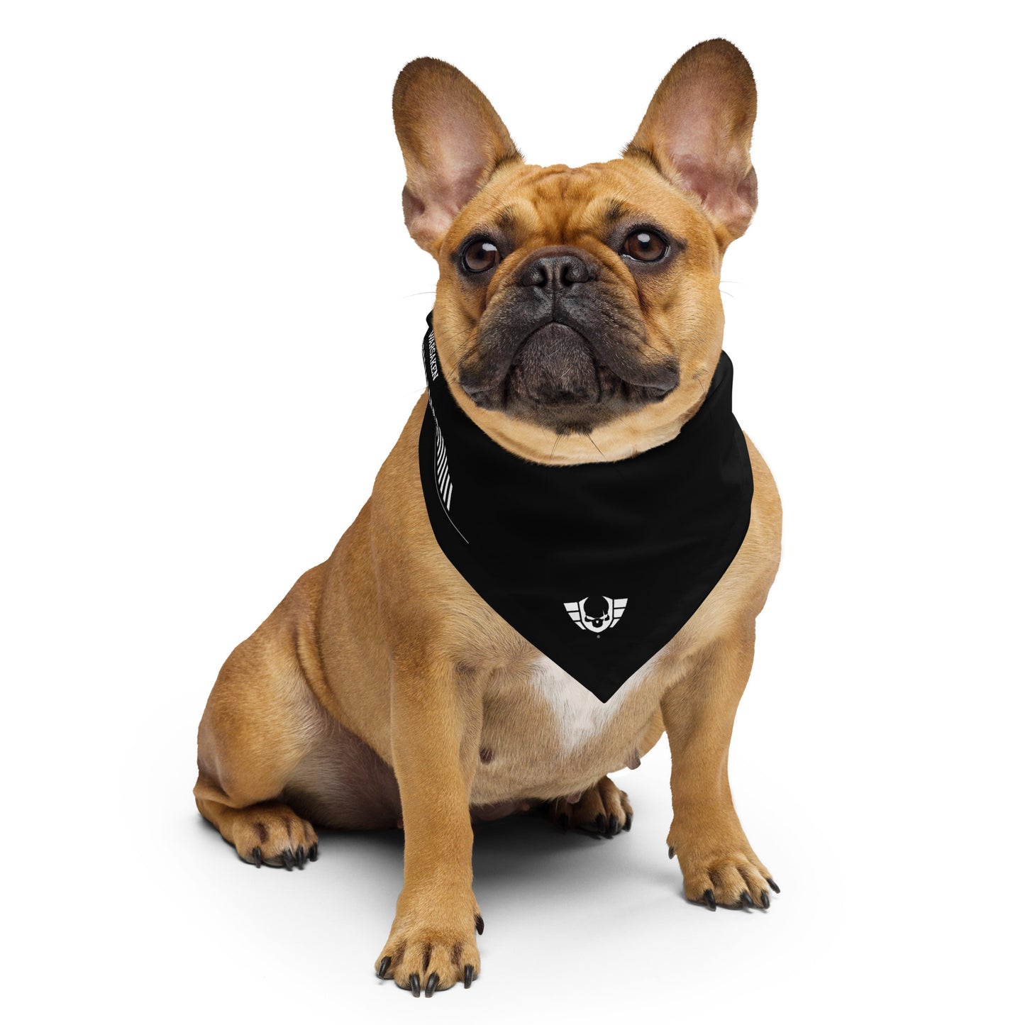 Warsaken® Bandana : Tarmac : Black