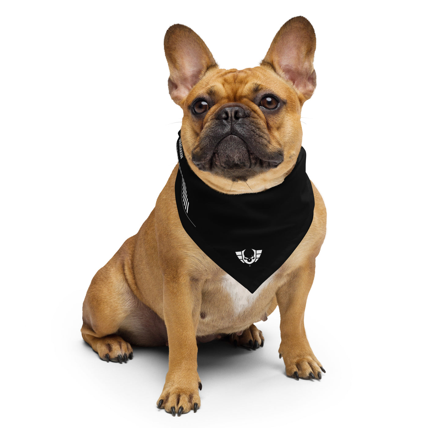 Warsaken® Bandana : Tarmac : Black